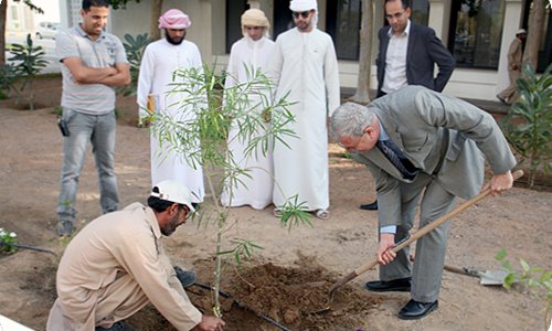 AAU Plants Union Tree