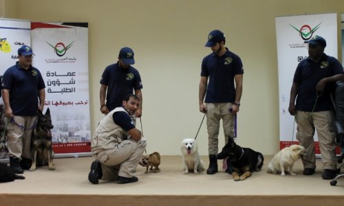 Anti-drug Campaign at AAU
