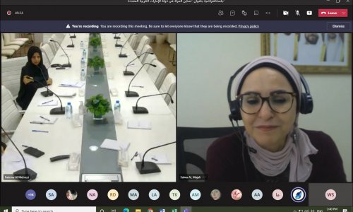 مبادرات لتمكين المرأة في يومها العالمي 