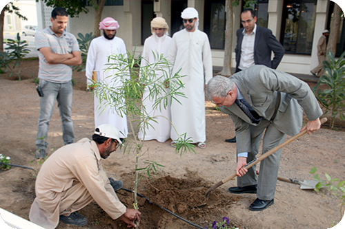 AAU Plants &ldquo;Union Tree&rdquo;